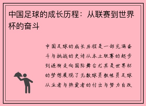 中国足球的成长历程：从联赛到世界杯的奋斗